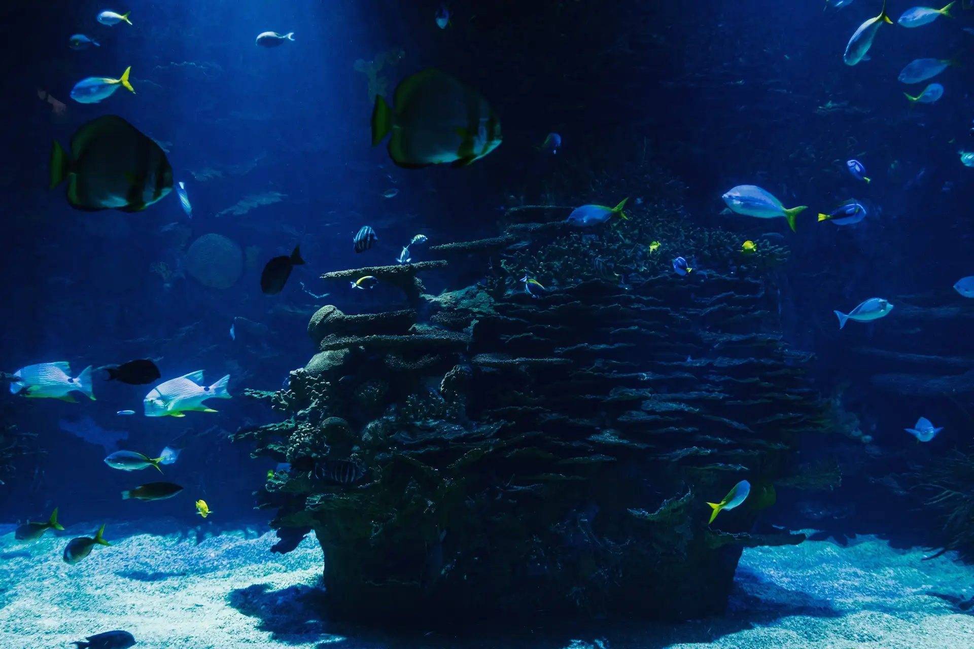 Dallas World Aquarium