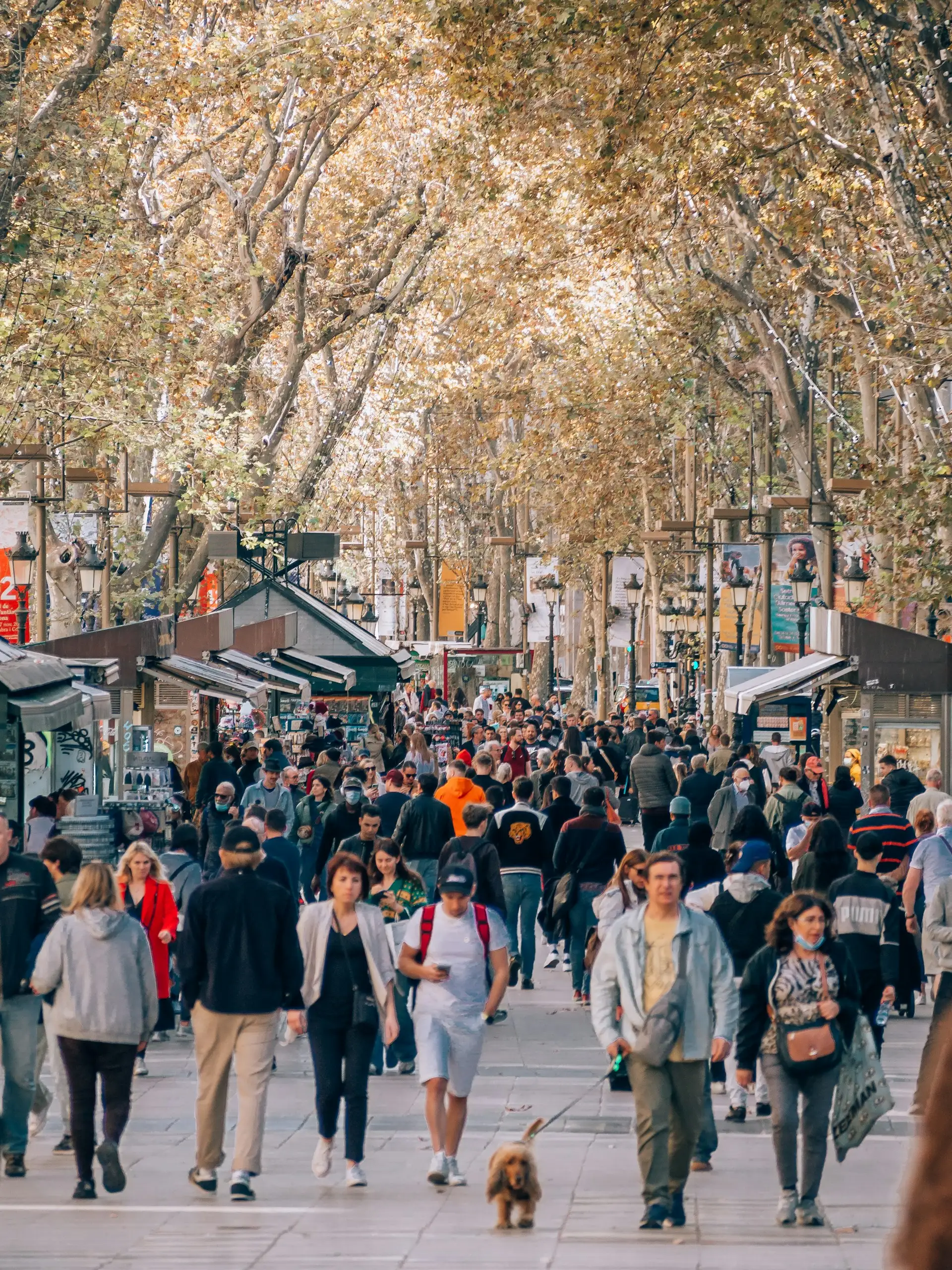 La Rambla i La Boqueria
