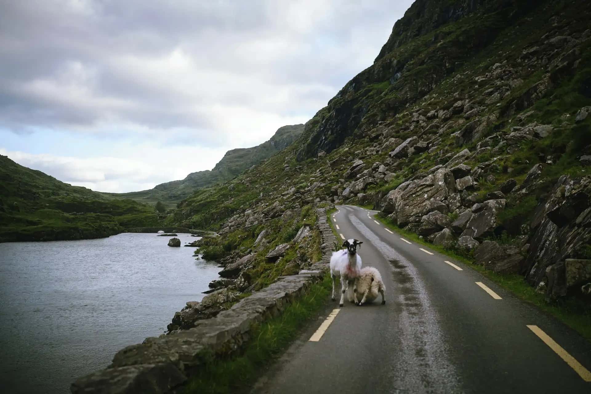 Ring of Kerry - popularna atrakcja turystyczna w Irlandia