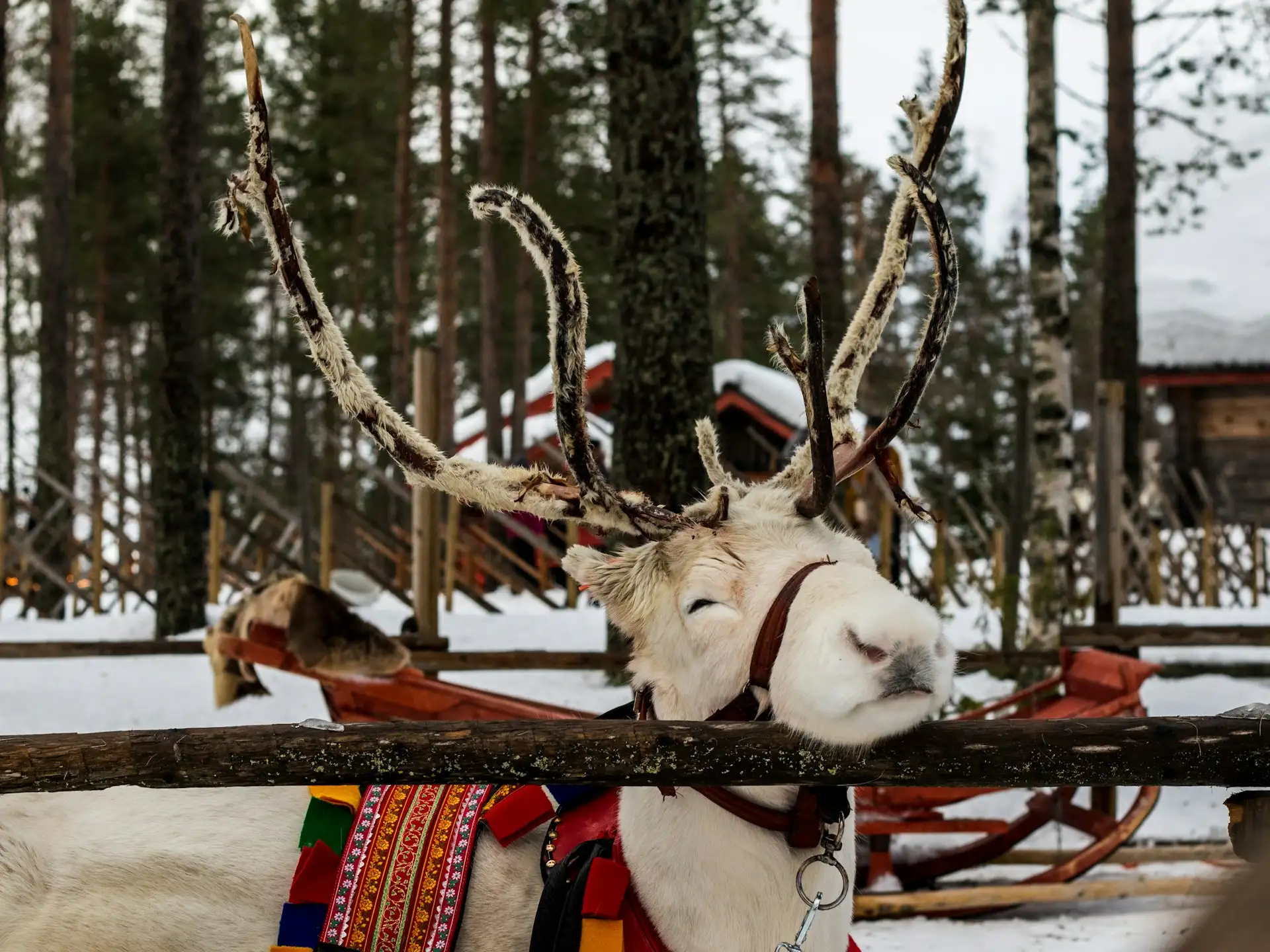 Rovaniemi i Wioska Mikołaja - popularna atrakcja turystyczna w Finlandia