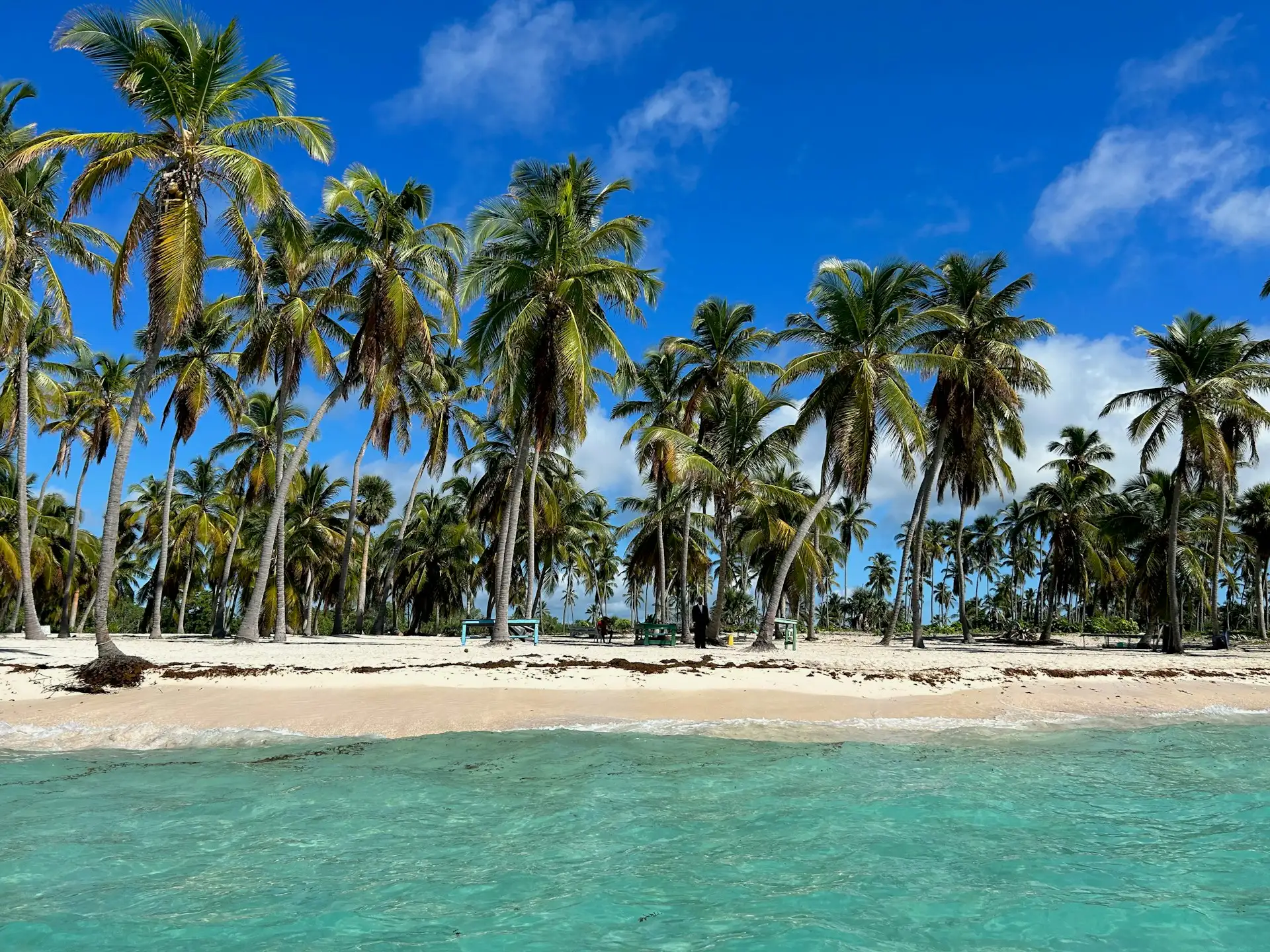Wyspa Saona (Isla Saona)