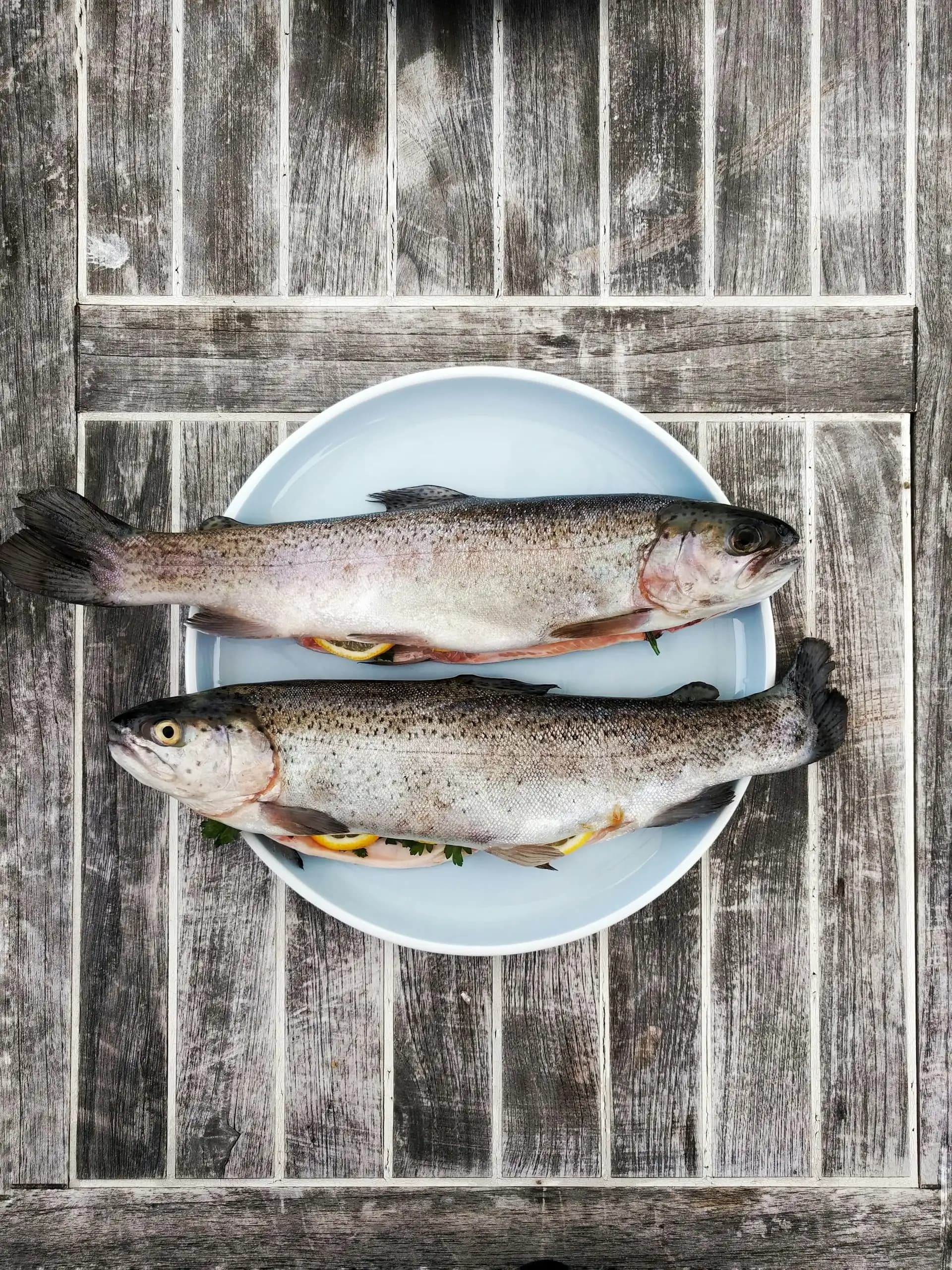Bacalao (Klippfisk)