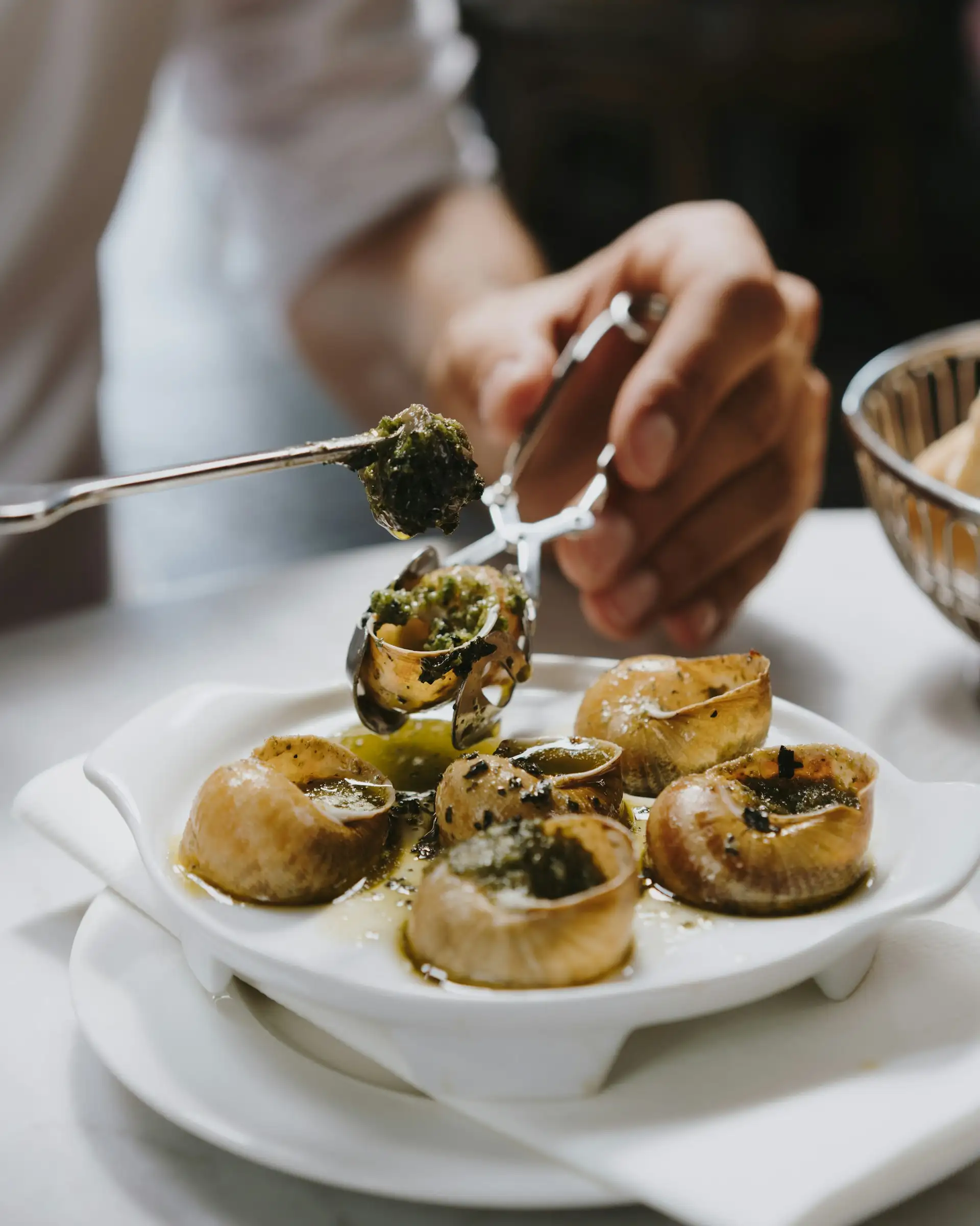 Potrawa Escargots (Ślimaki) - tradycyjna kuchnia Francja