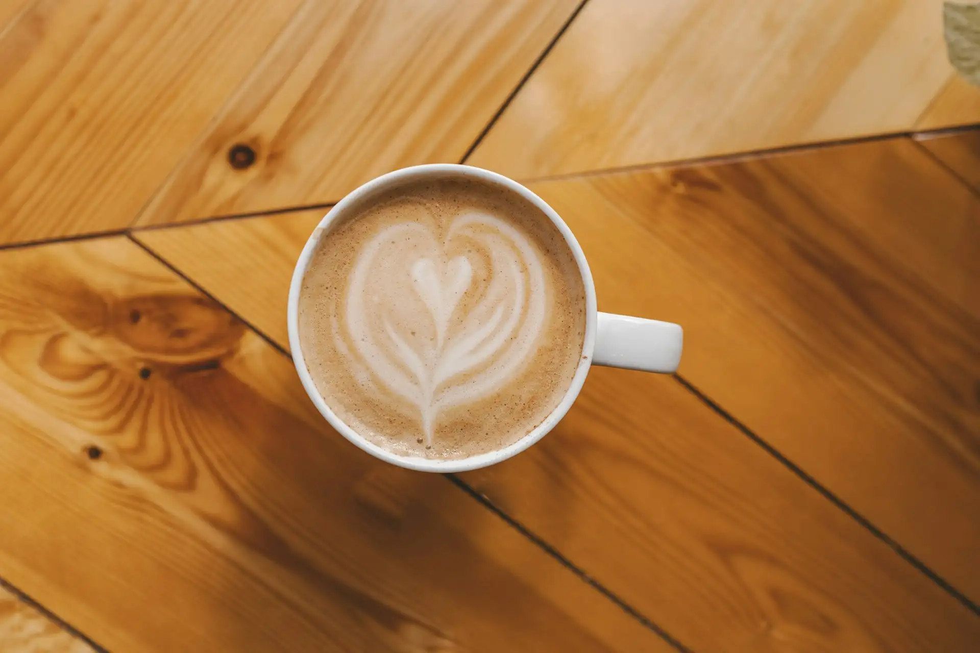 Potrawa Flat White - tradycyjna kuchnia Australia