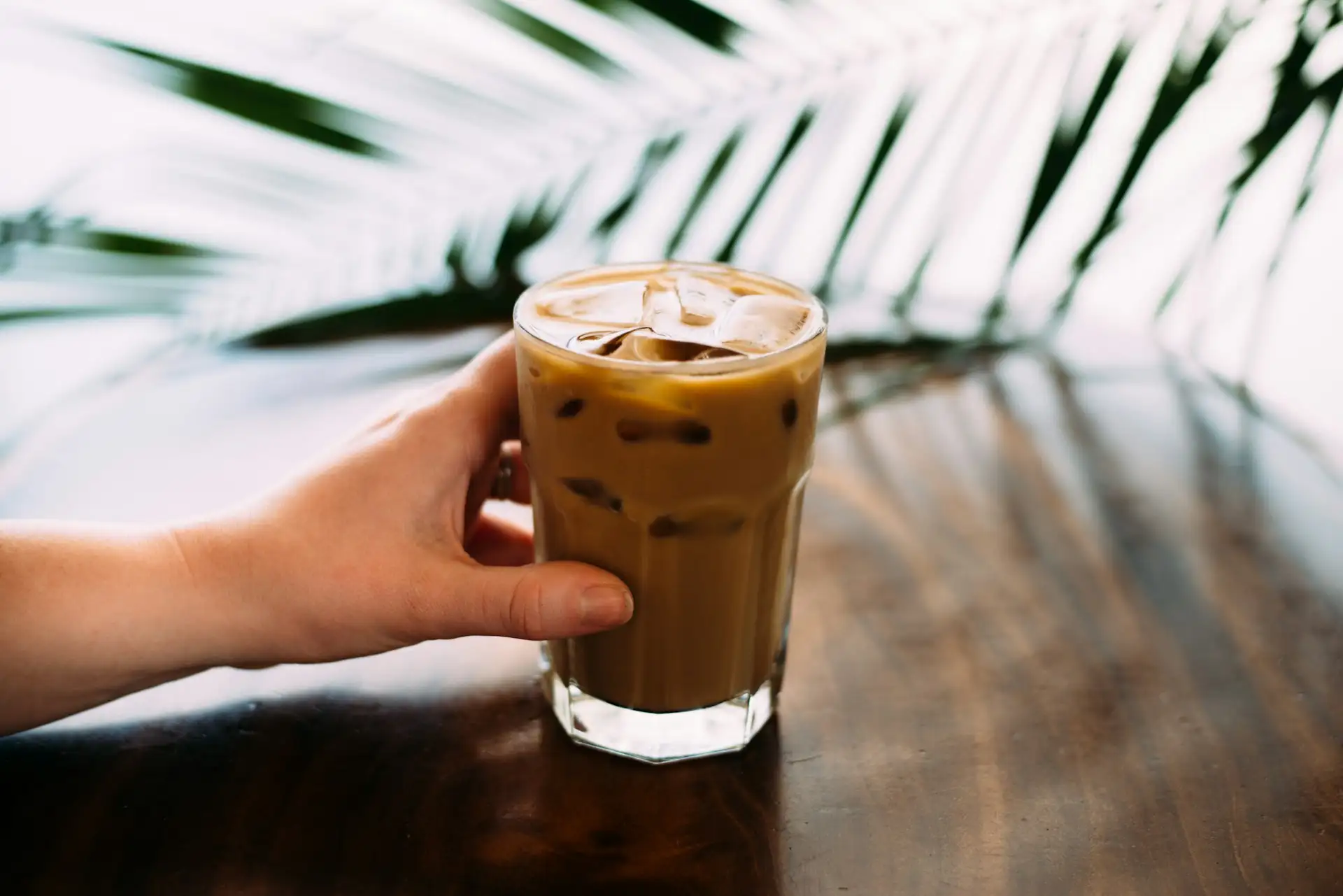 Potrawa Frappé / Freddo Espresso - tradycyjna kuchnia Grecja