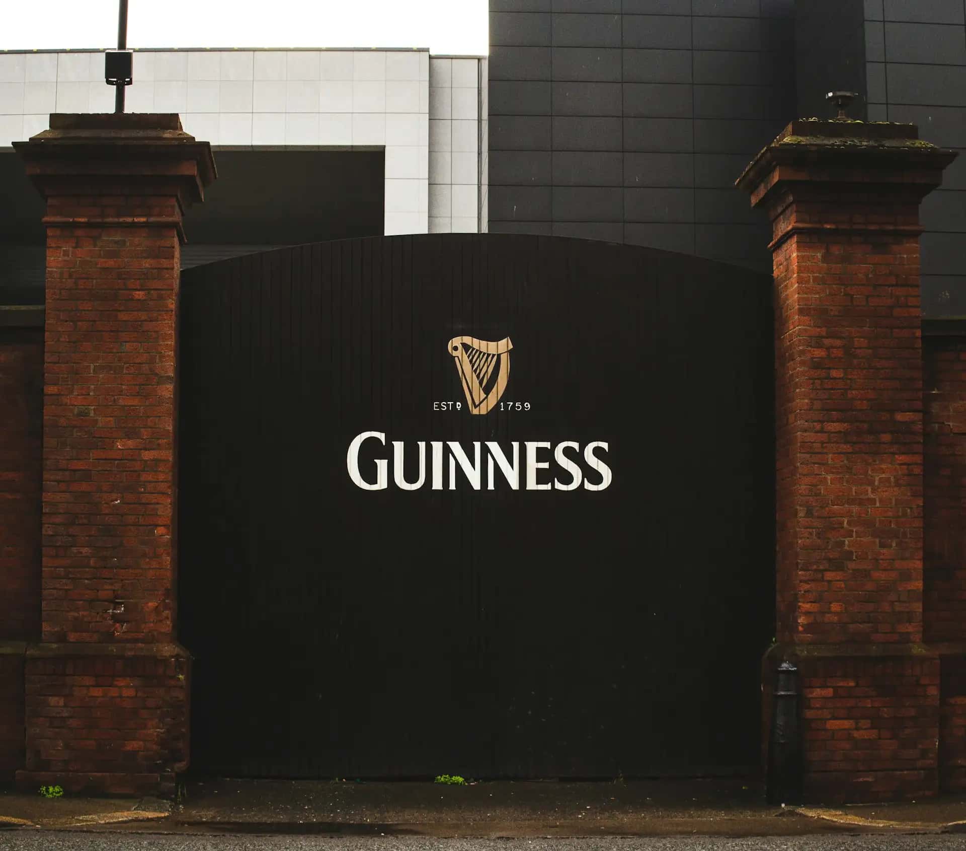 Potrawa Guinness - tradycyjna kuchnia Irlandia